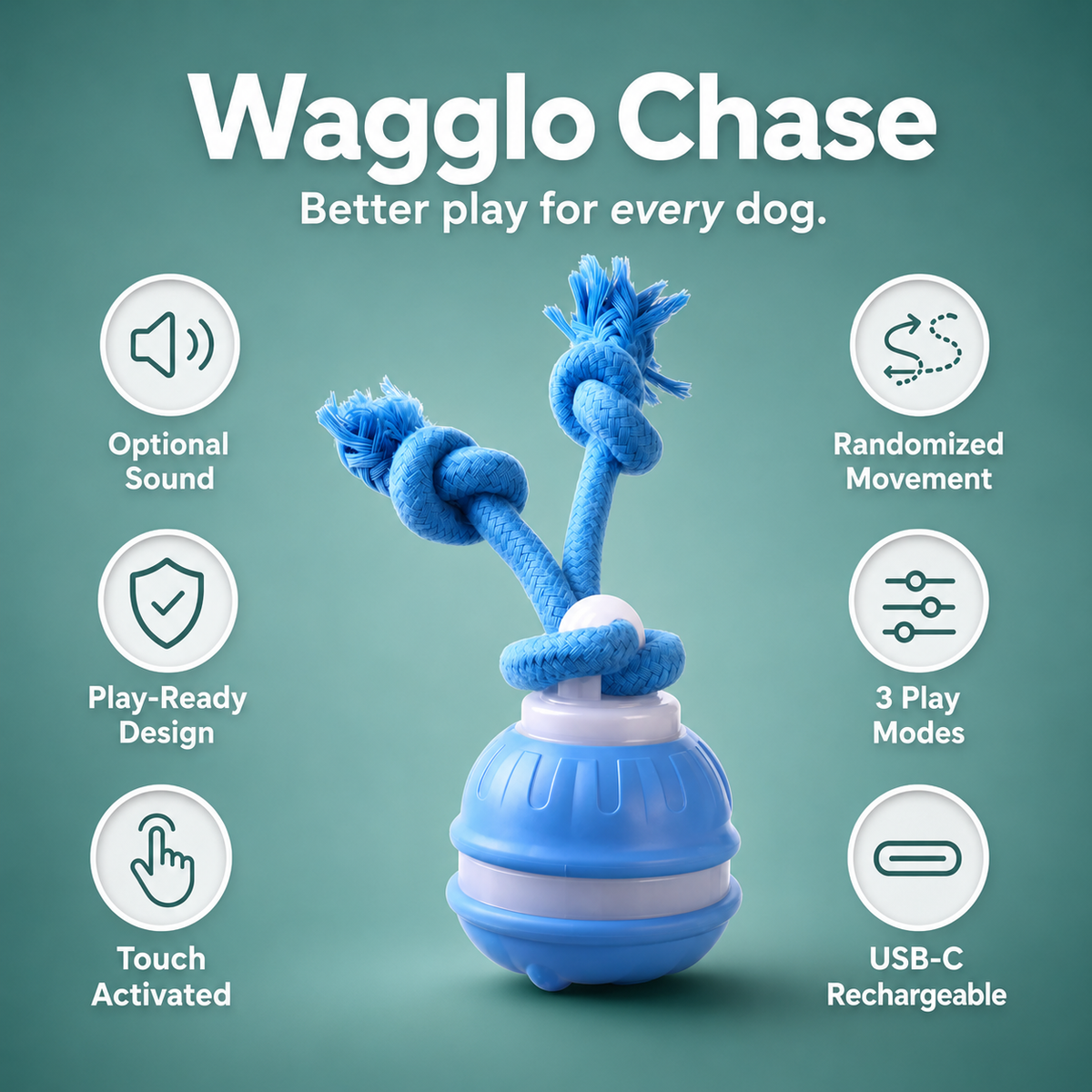 Wagglo Chase - Made for evening zoomies
