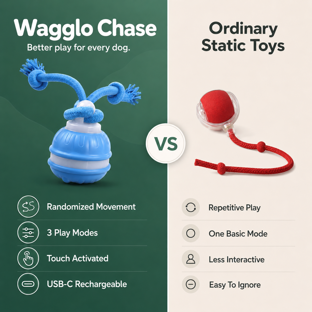 Wagglo Chase - Made for evening zoomies