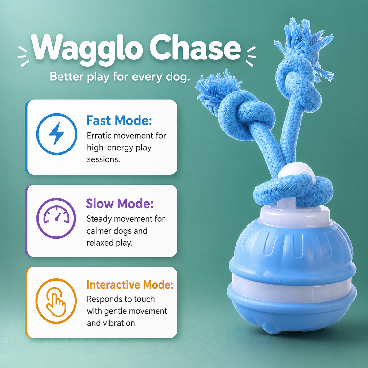 Wagglo Chase - Made for evening zoomies