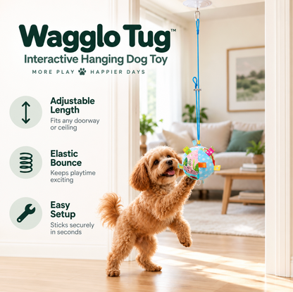 Wagglo Tug – The toy that tugs back