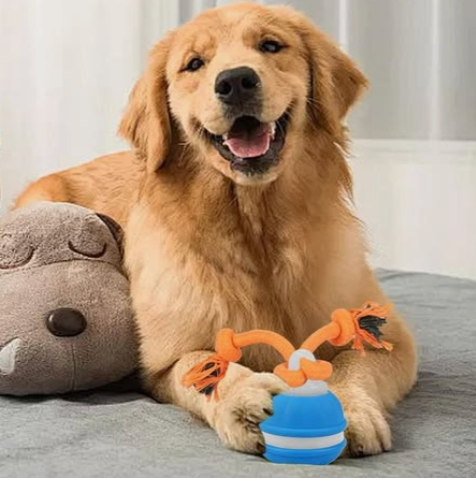 Made for energetic dogs