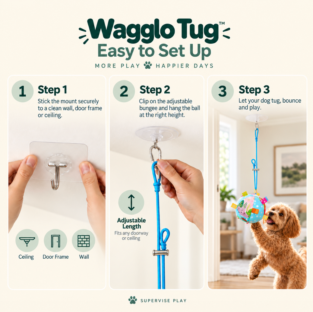 Wagglo Tug – The toy that tugs back